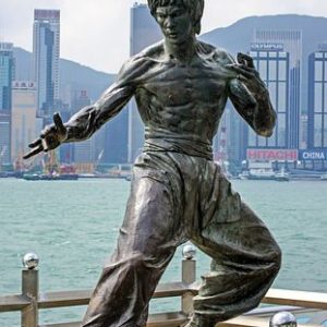 Bruce Lee Fitness